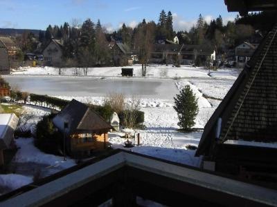 Gaestehaus Lickert Familie Dreher Hinterzarten Exteriör bild
